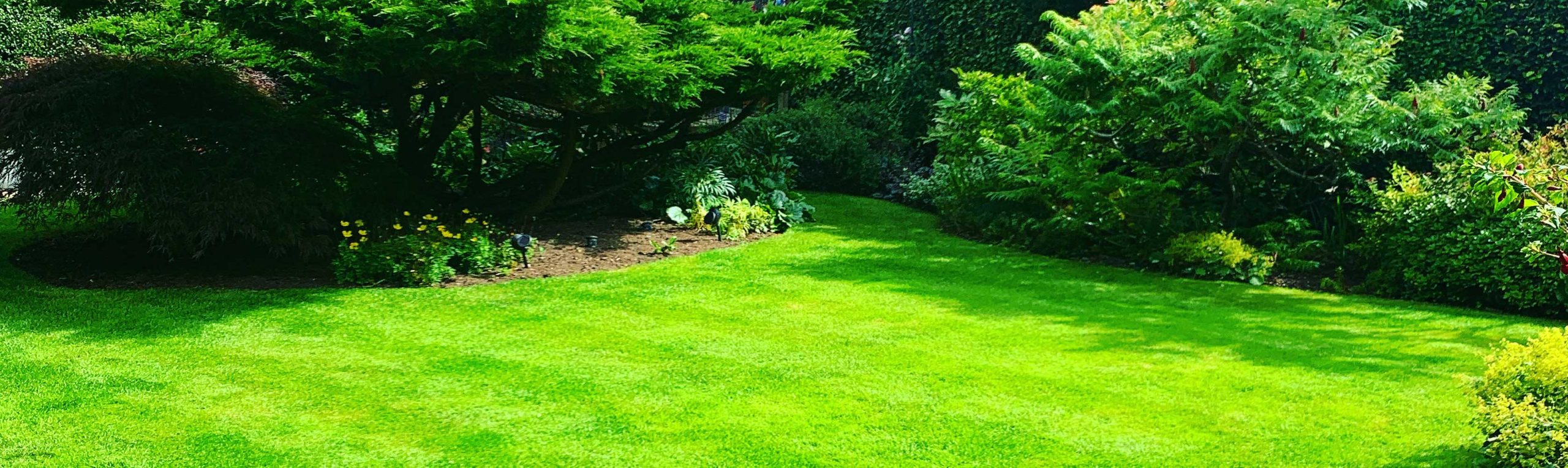 DSM Lawn Care Dudley DSM Lawn Care Dudley