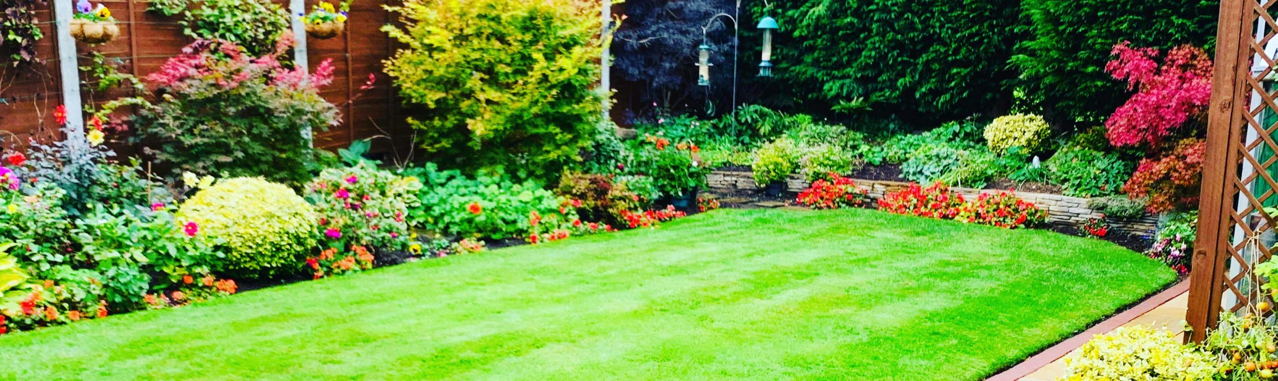 DSM Lawn Care West Midlands DSM Lawn Care West Midlands