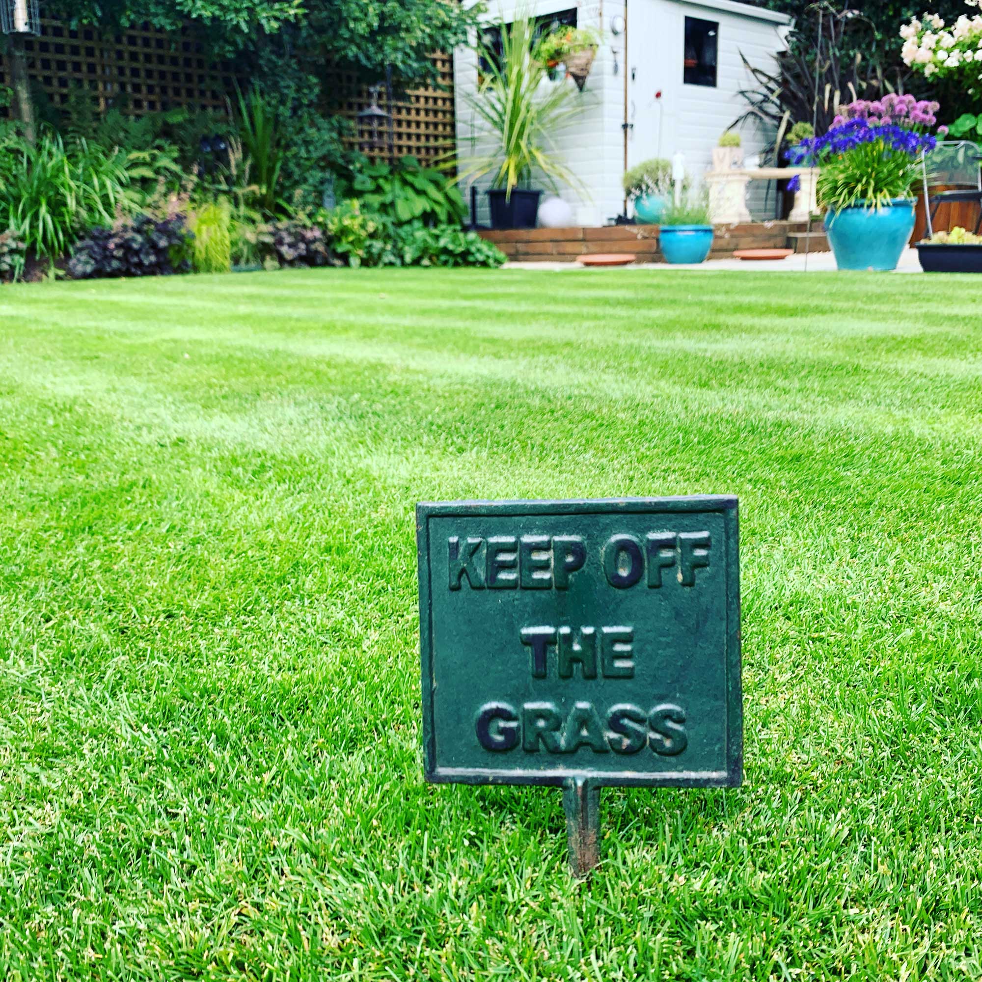 Grass Care Grass Care