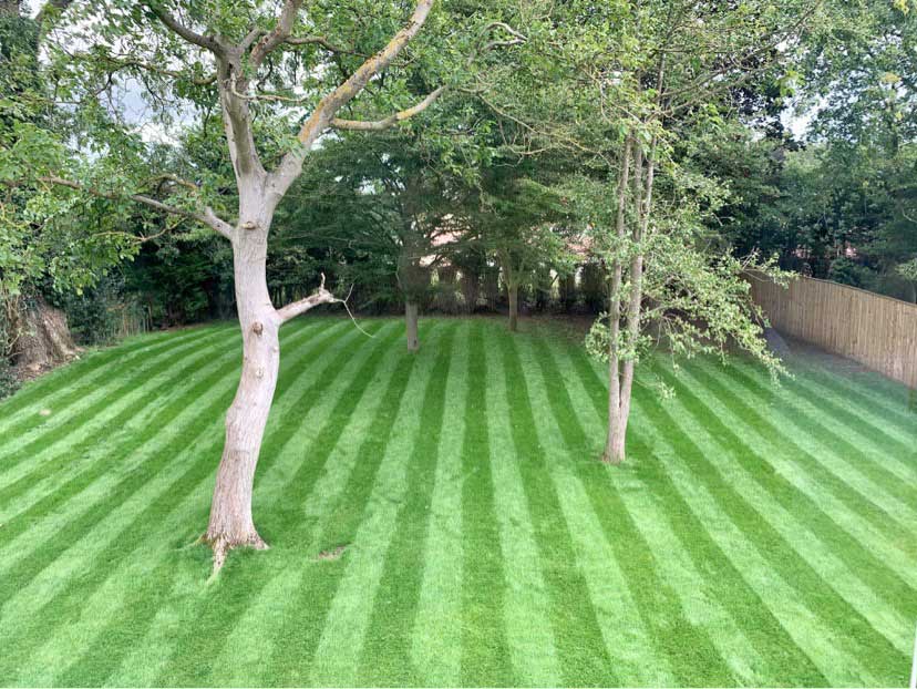 Grass Care Company Grass Care Company