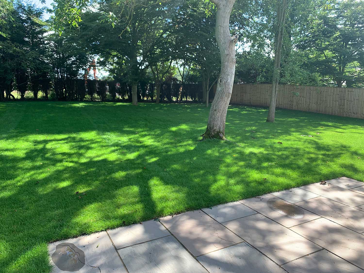 Grass Care Company Near Me Grass Care Company Near Me