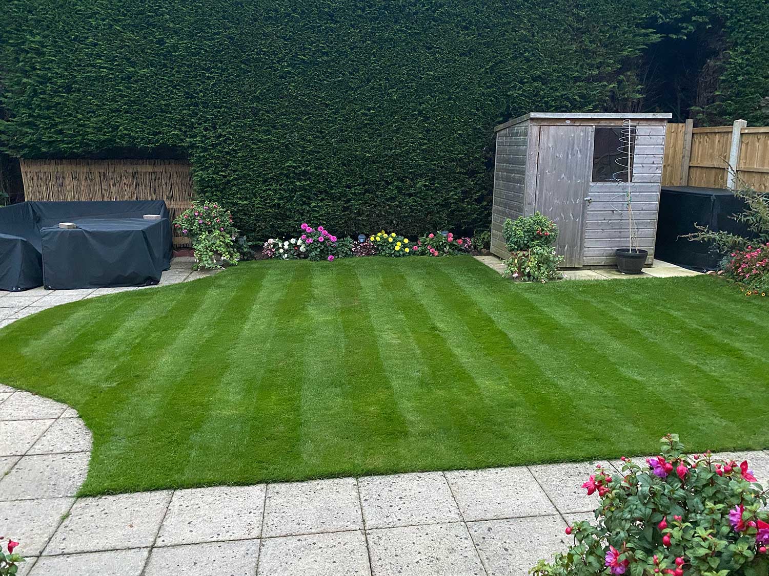 Grass Care Company Grass Care Company