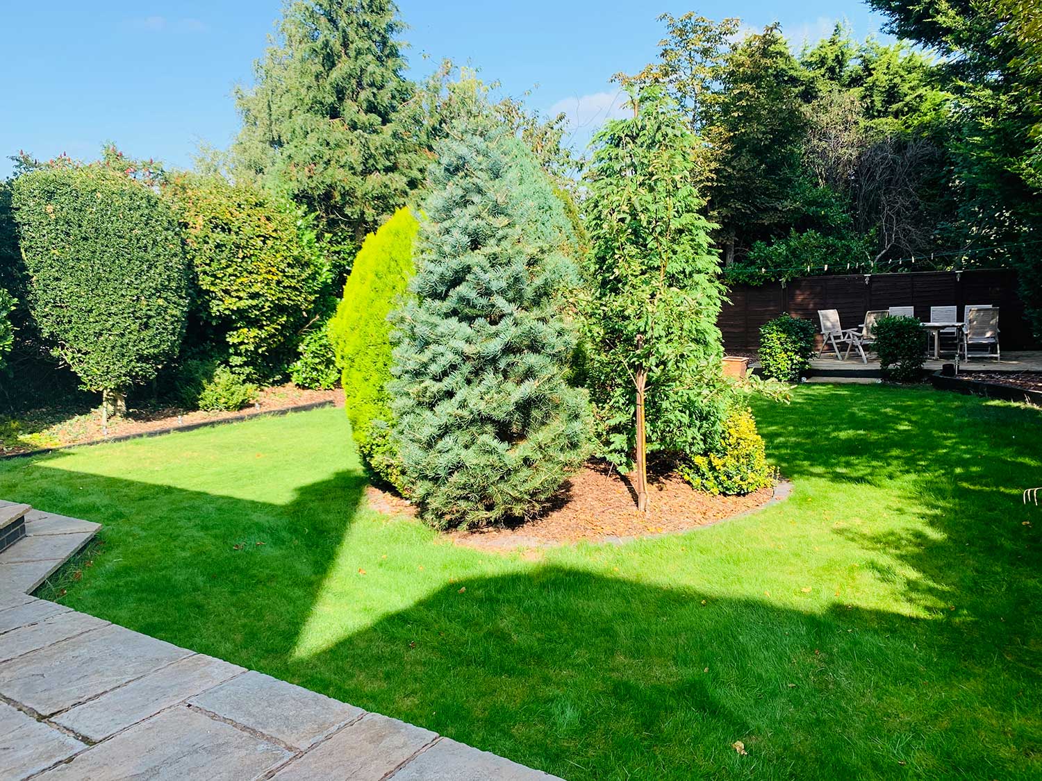 Grass Care Service Grass Care Service