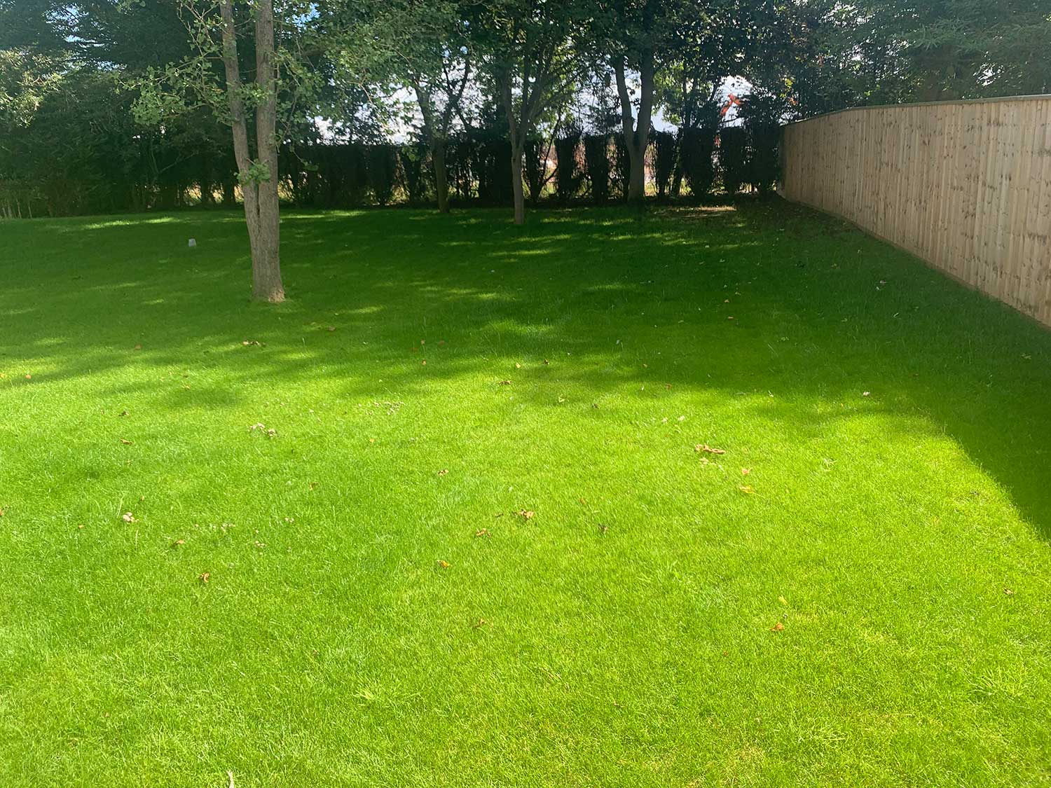 Grass Care Services Grass Care Services