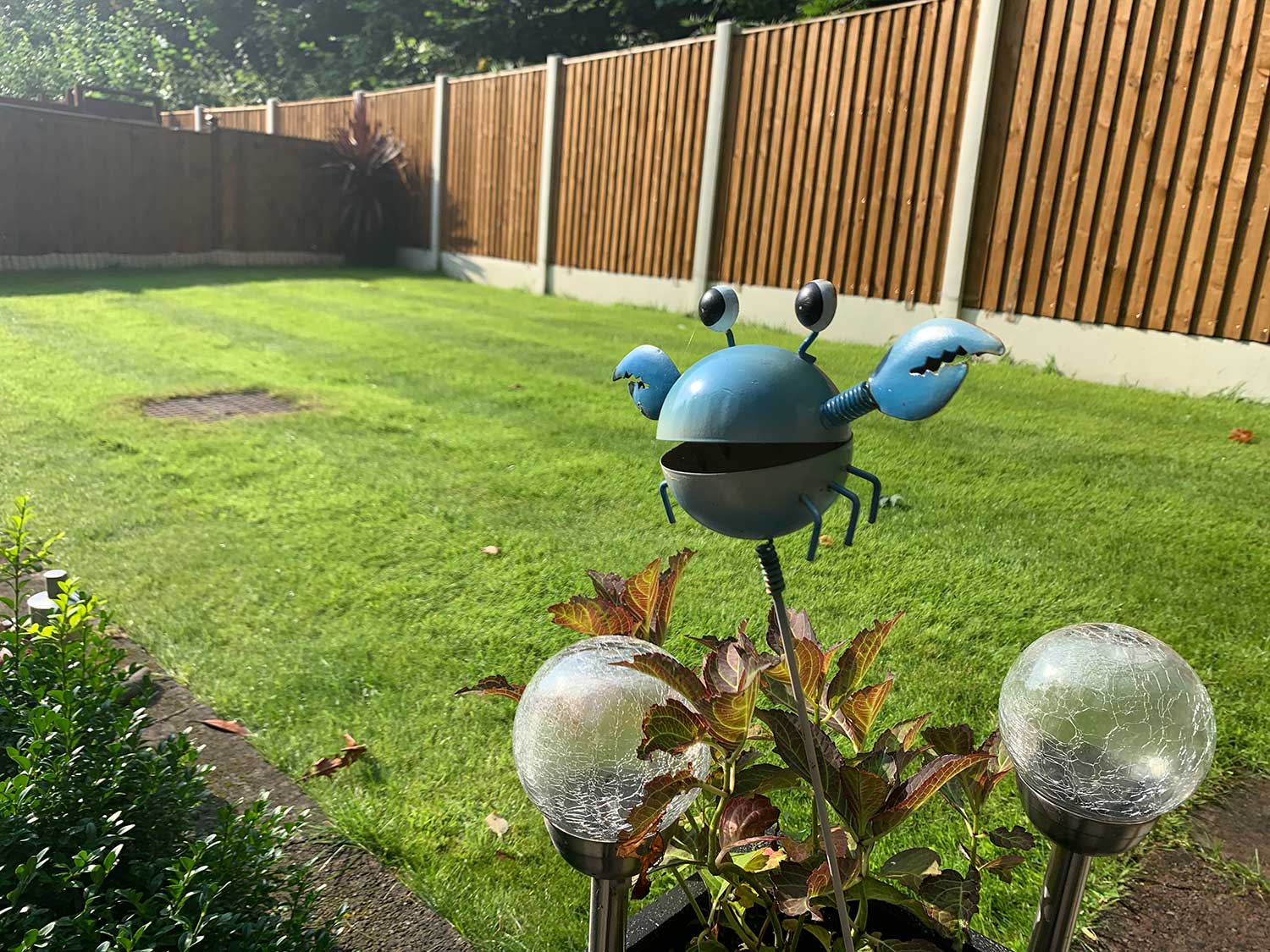 Grass Maintenance Grass Maintenance
