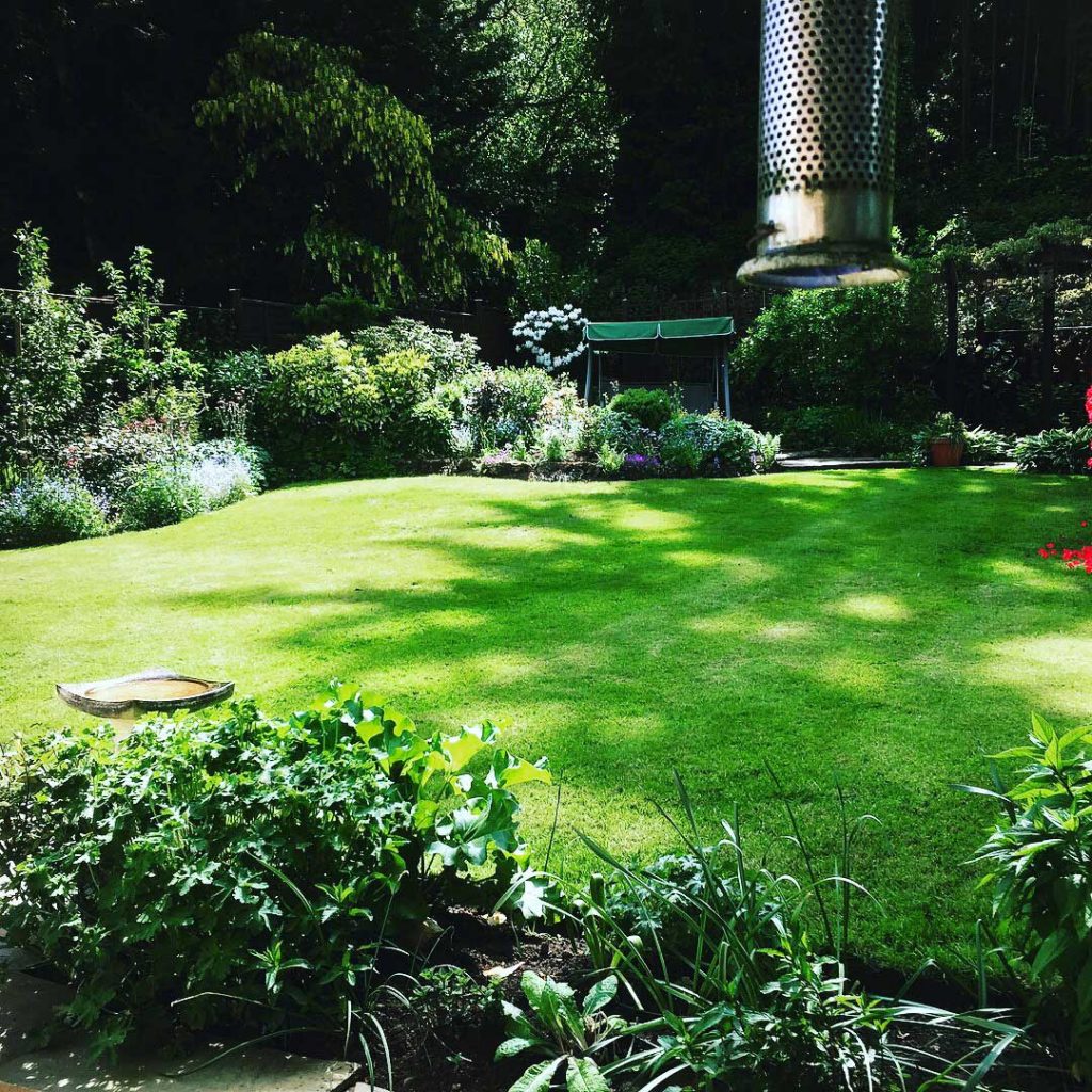 Lawn Care Lawn Care