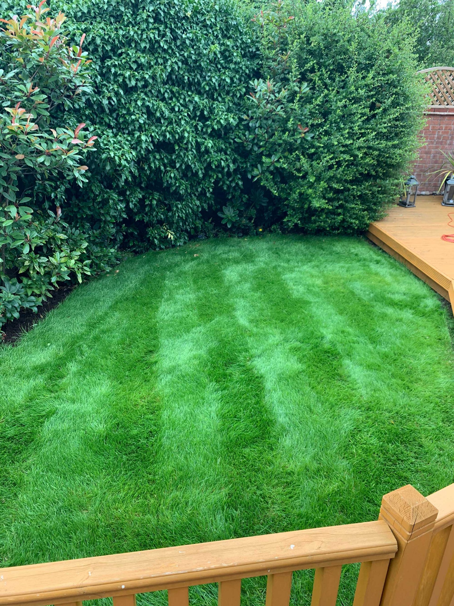 Lawn Care Company Lawn Care Company