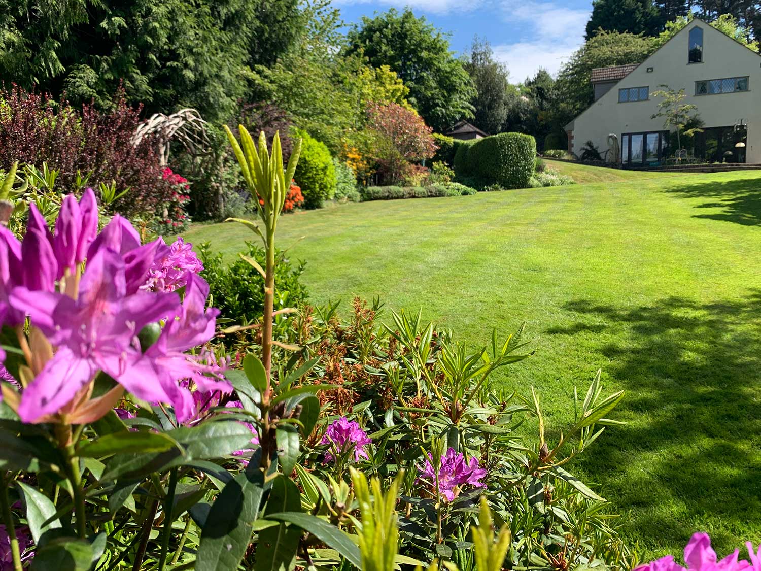 Lawn Care Experts Lawn Care Experts