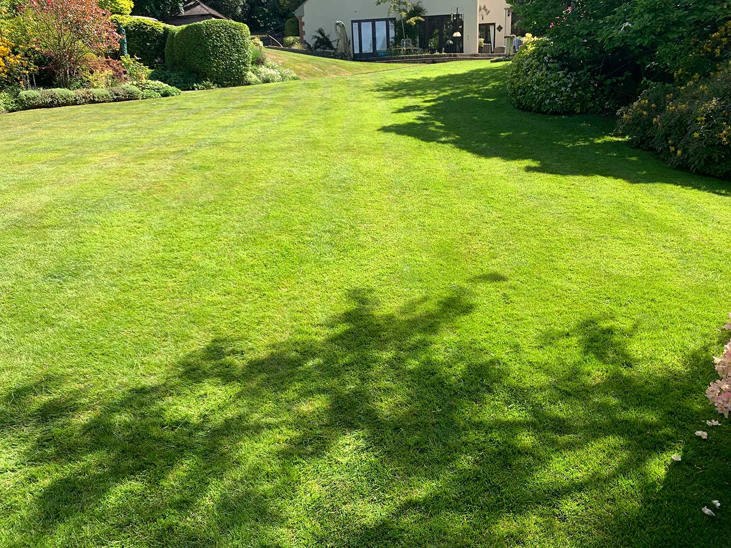 Lawn Care Maintenance Lawn Care Maintenance