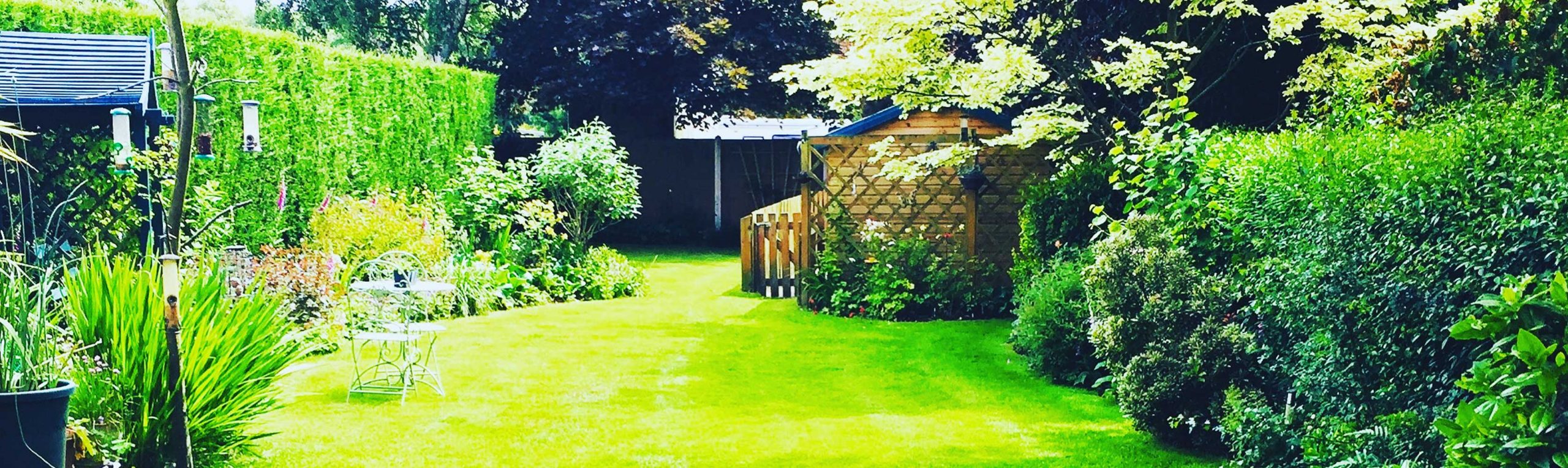 Lawn Care Services Lawn Care Services