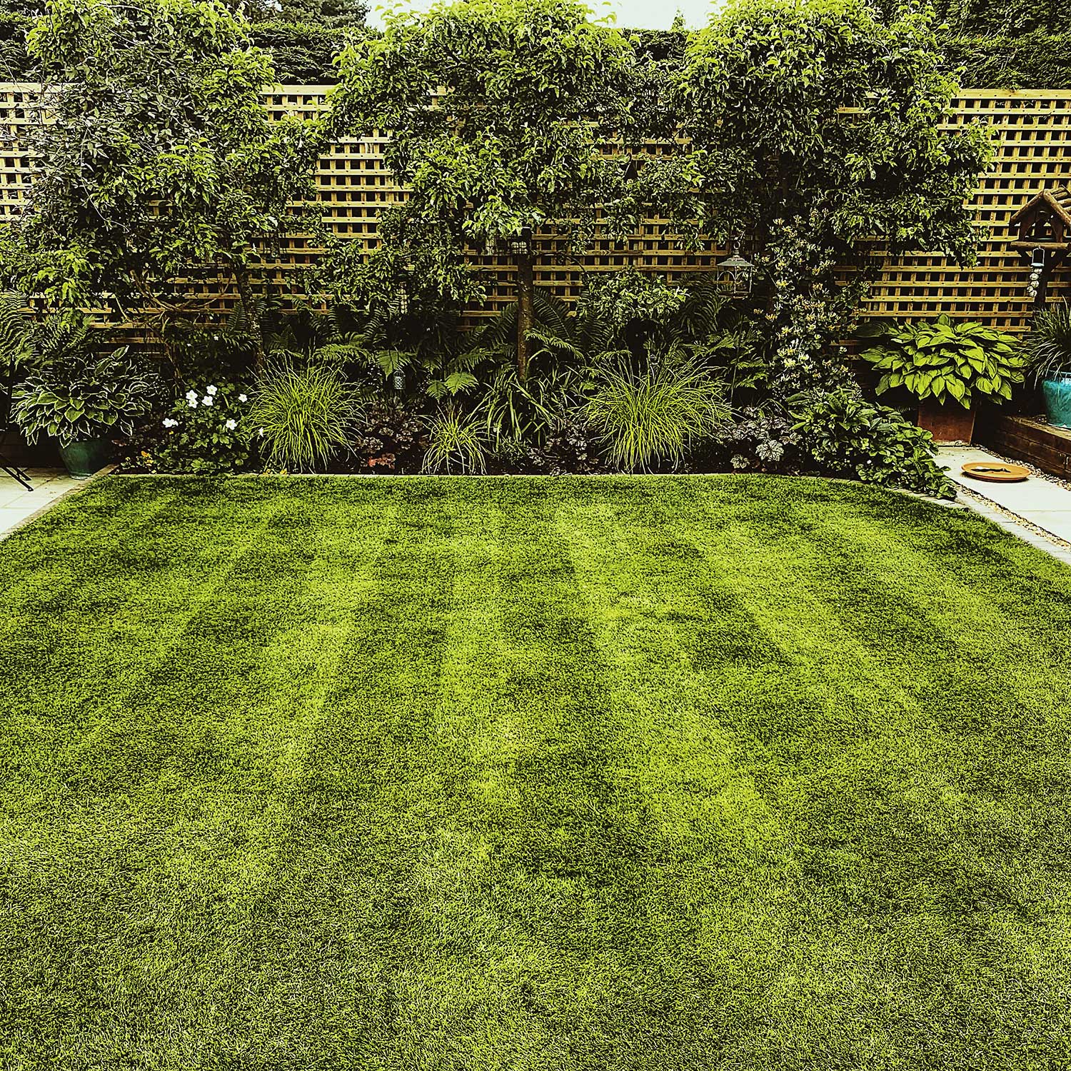 Lawn Care Services Lawn Care Services