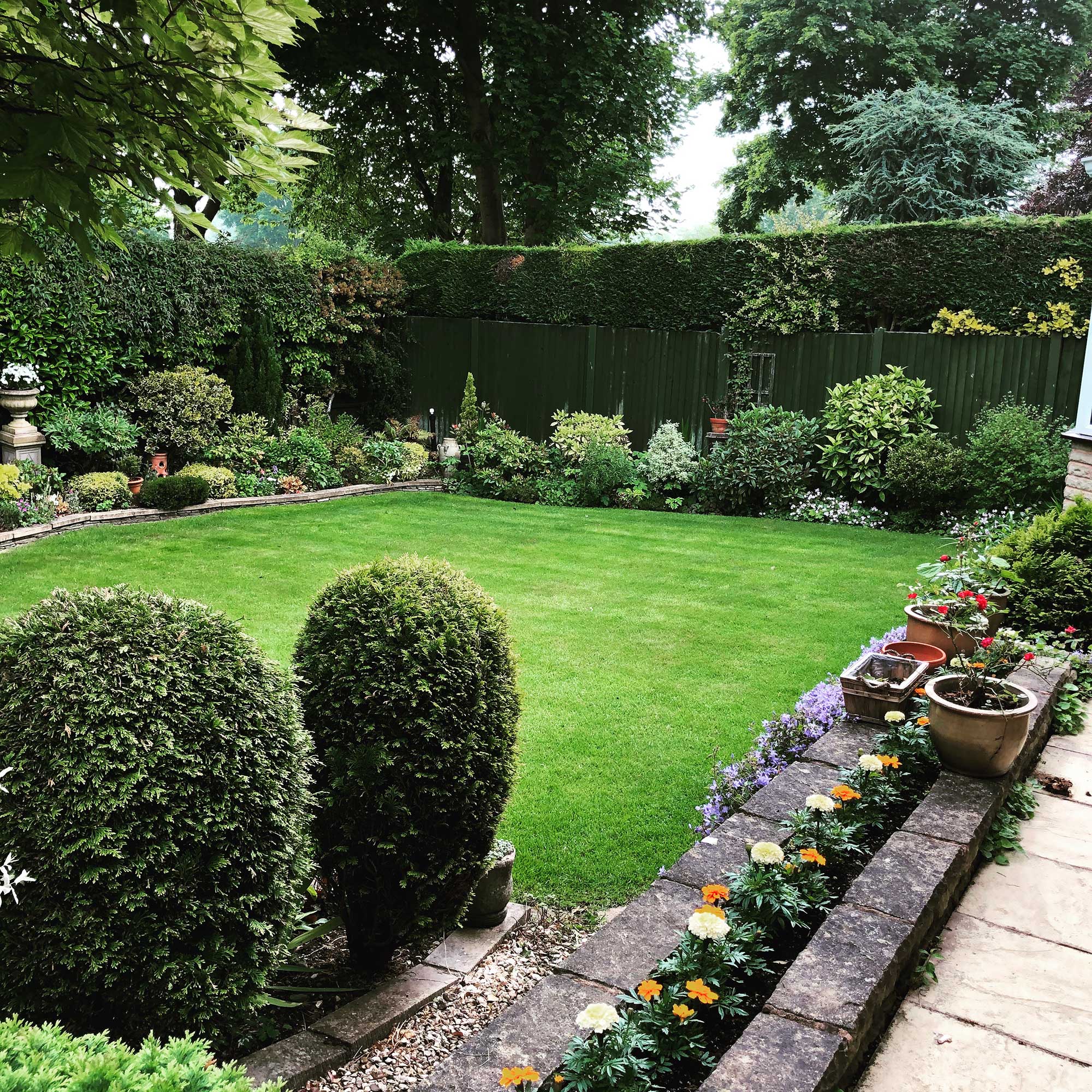 Lawn Maintenance Professionals Lawn Maintenance Professionals