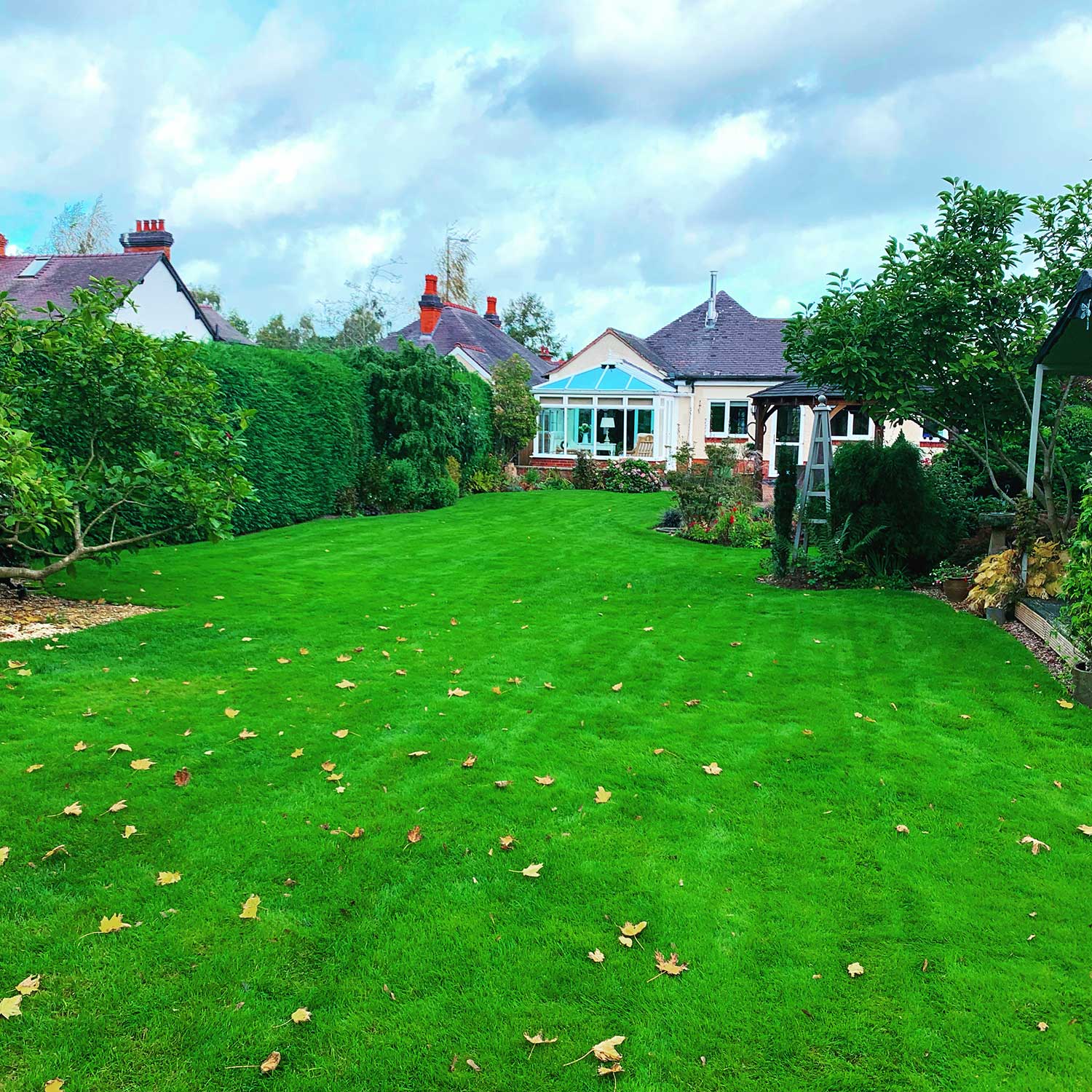 Lawn Recovery Lawn Recovery