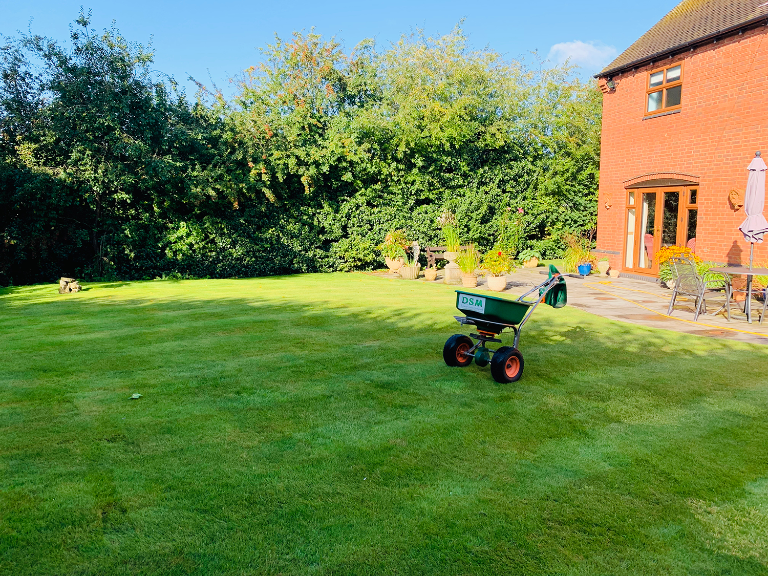 Lawn Rescue Lawn Rescue
