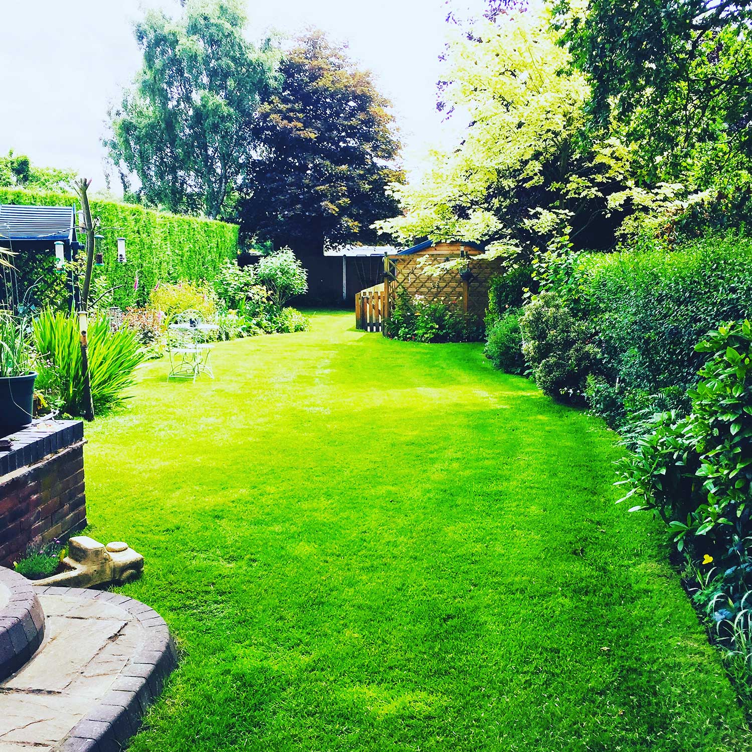 Lawn Treatment Lawn Treatment