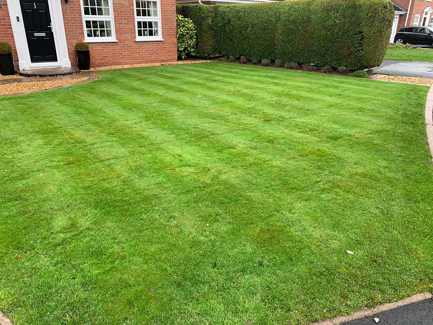 Local Lawn Care Company Local Lawn Care Company