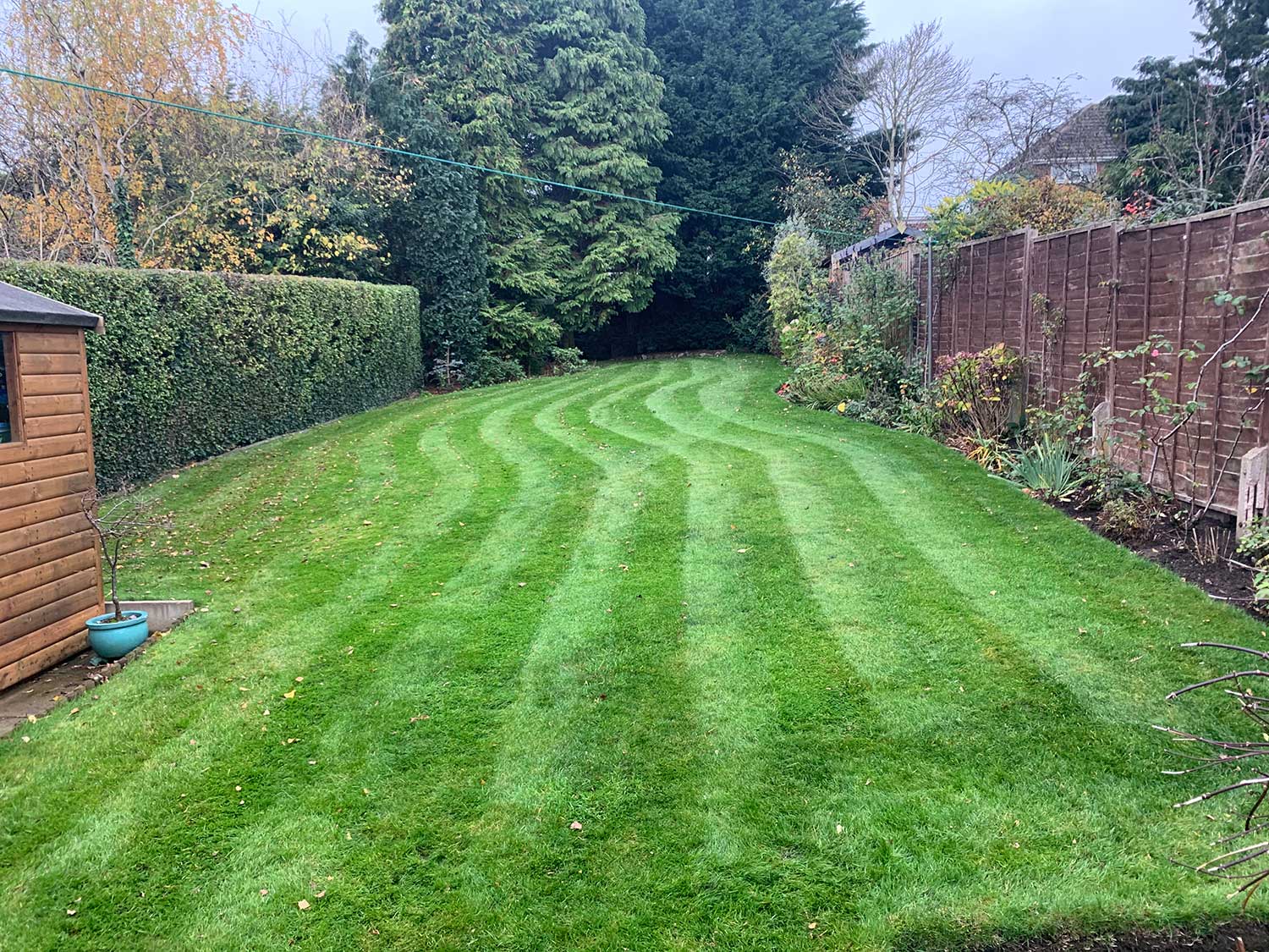 Local Lawn Care Experts Local Lawn Care Experts