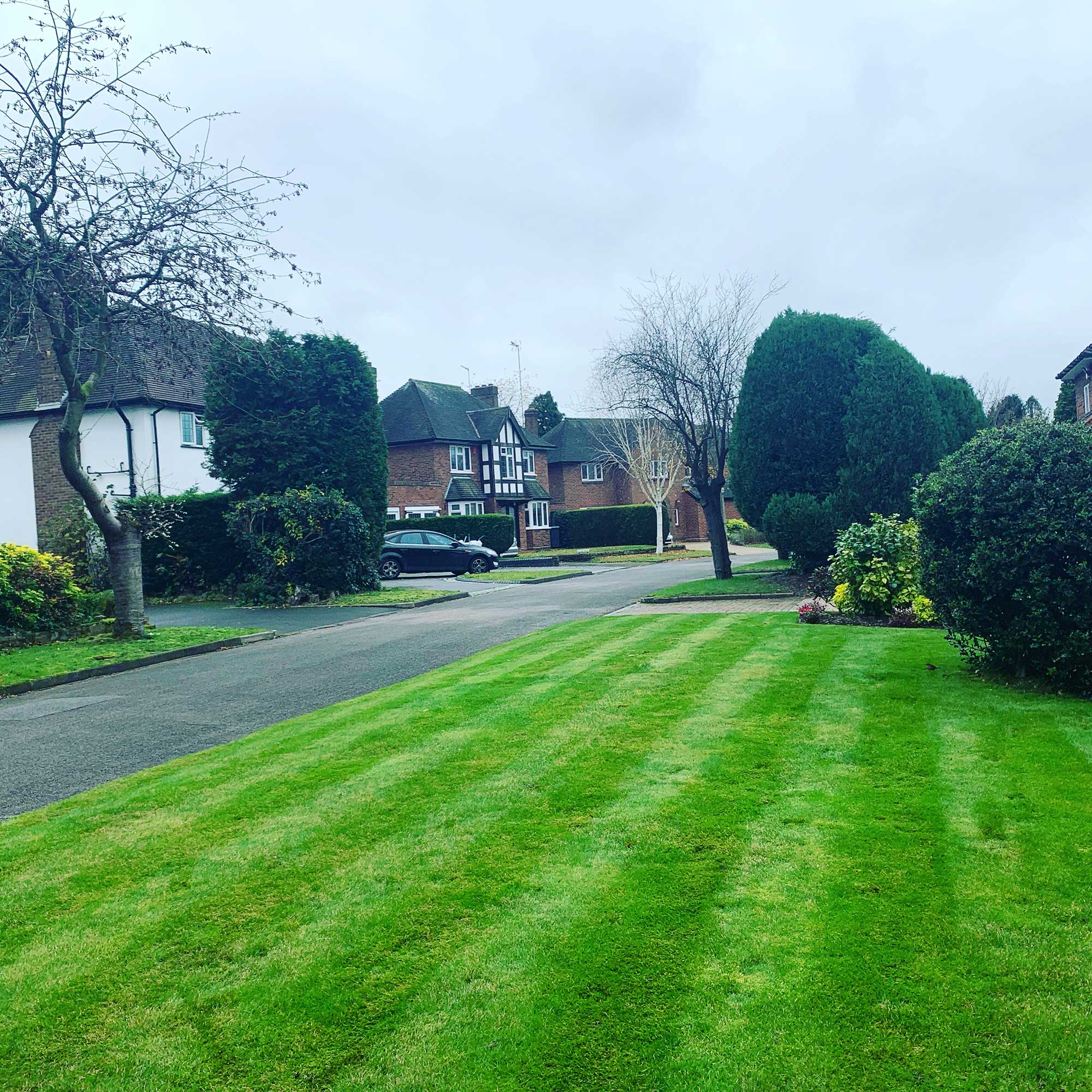 Local Lawn Care Services Local Lawn Care Services