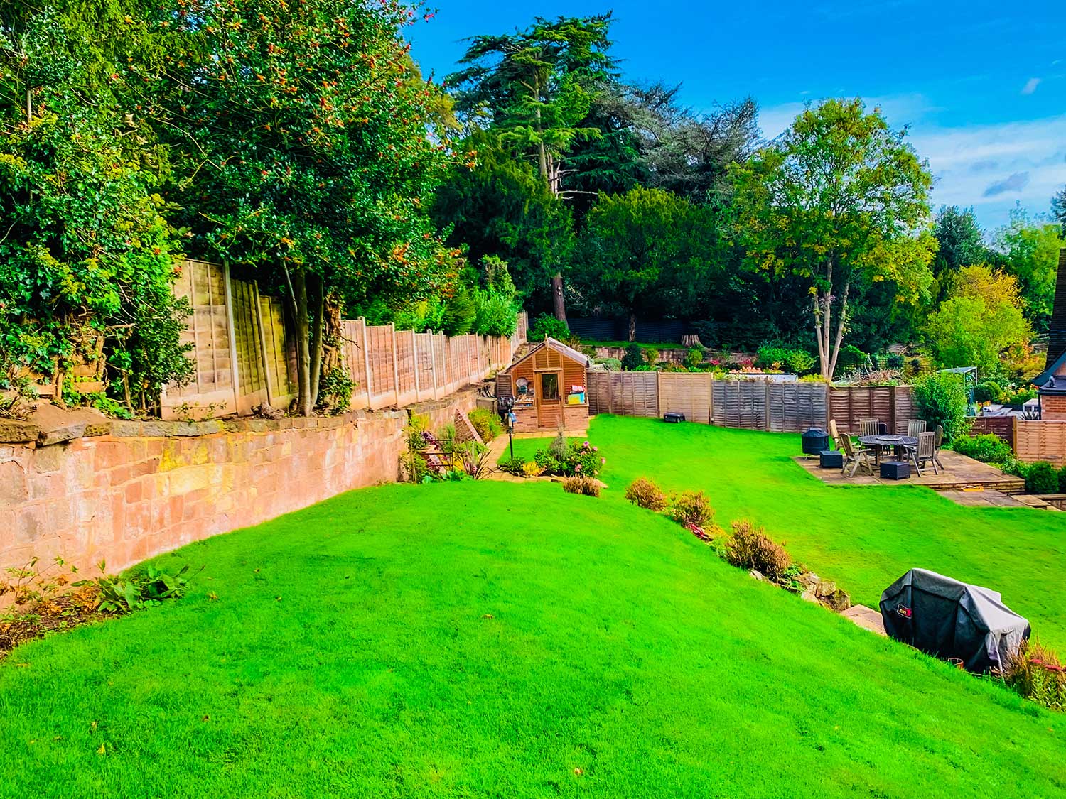 Local Lawn Rescue Service